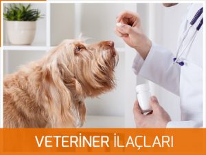 Veteriner İlaçları